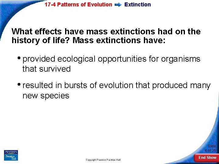 17 -4 Patterns of Evolution Extinction What effects have mass extinctions had on the