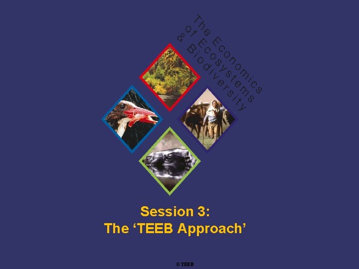 Session 3: The ‘TEEB Approach’ ©TEEB Training 