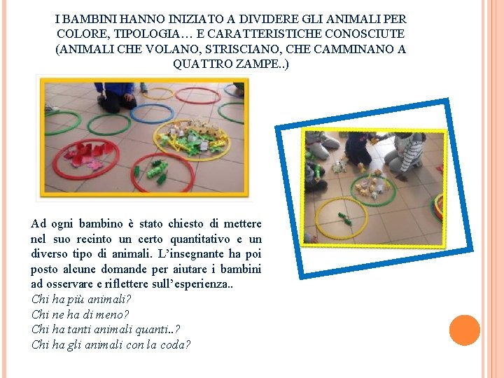 I BAMBINI HANNO INIZIATO A DIVIDERE GLI ANIMALI PER COLORE, TIPOLOGIA… E CARATTERISTICHE CONOSCIUTE