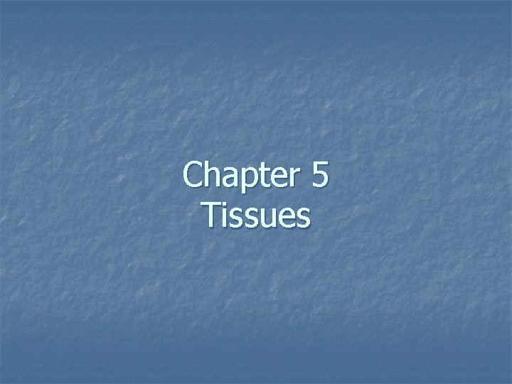 Chapter 5 Tissues 
