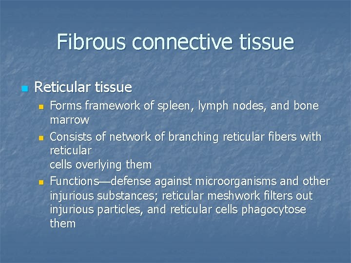 Fibrous connective tissue n Reticular tissue n n n Forms framework of spleen, lymph
