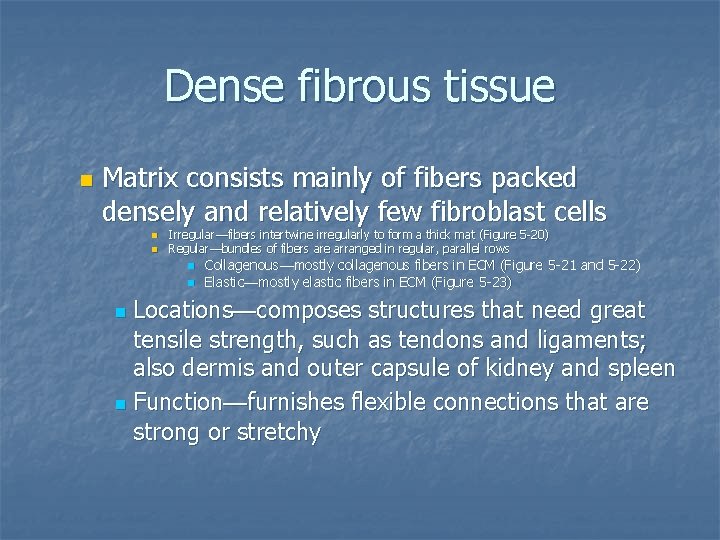 Dense fibrous tissue n Matrix consists mainly of fibers packed densely and relatively few