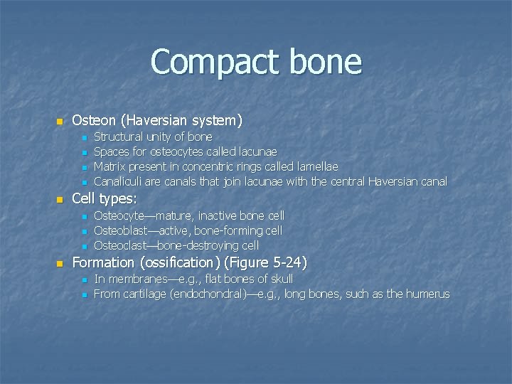 Compact bone n Osteon (Haversian system) n n n Cell types: n n Structural