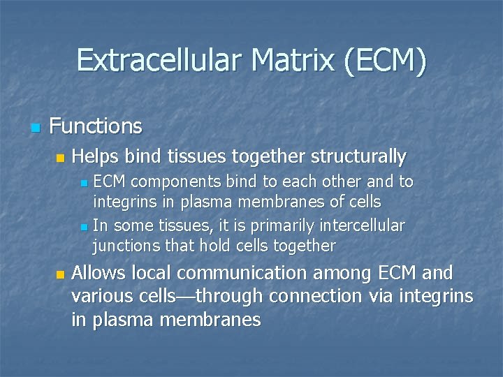 Extracellular Matrix (ECM) n Functions n Helps bind tissues together structurally ECM components bind