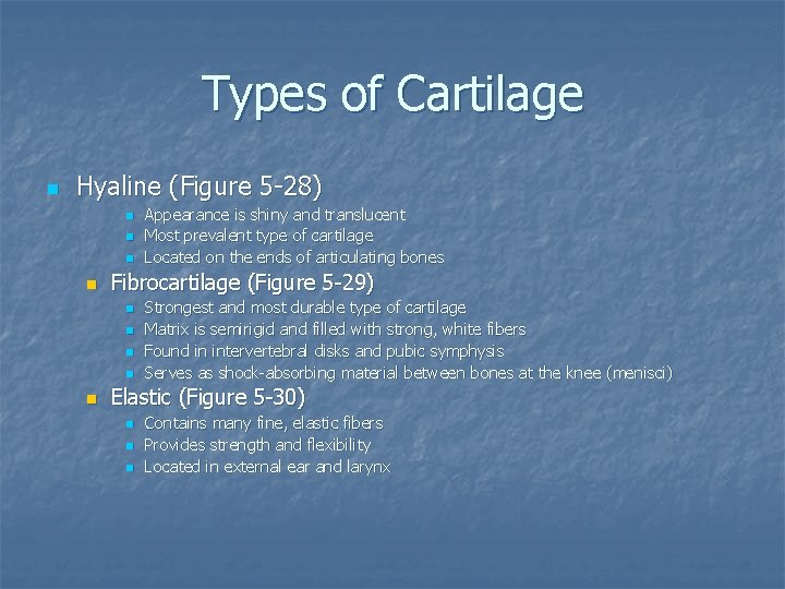 Types of Cartilage n Hyaline (Figure 5 -28) n n Fibrocartilage (Figure 5 -29)
