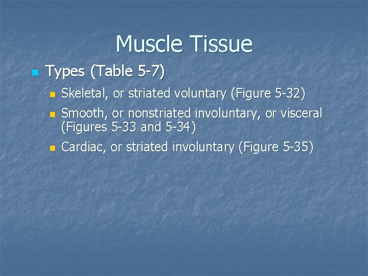 Muscle Tissue n Types (Table 5 -7) n n n Skeletal, or striated voluntary
