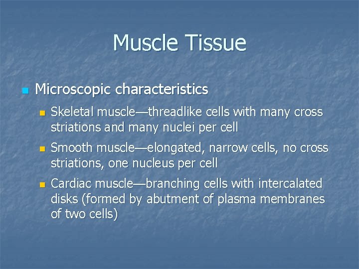 Muscle Tissue n Microscopic characteristics n n n Skeletal muscle—threadlike cells with many cross