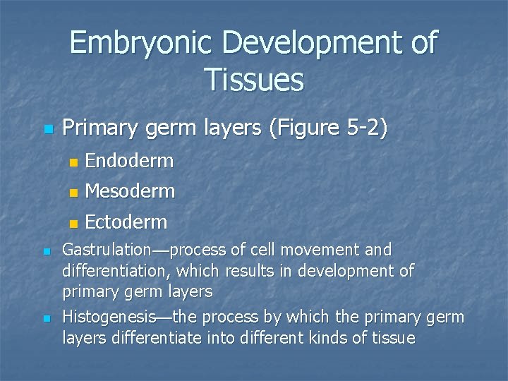 Embryonic Development of Tissues n n n Primary germ layers (Figure 5 -2) n