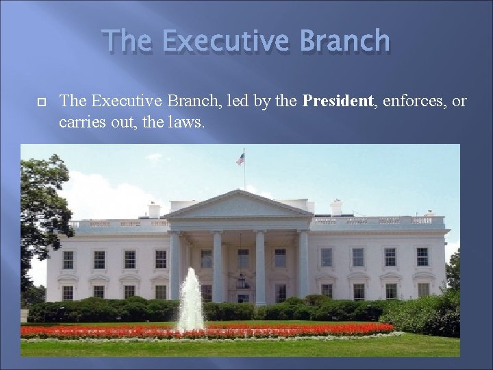 The Executive Branch The Executive Branch, led by the President, enforces, or carries out,