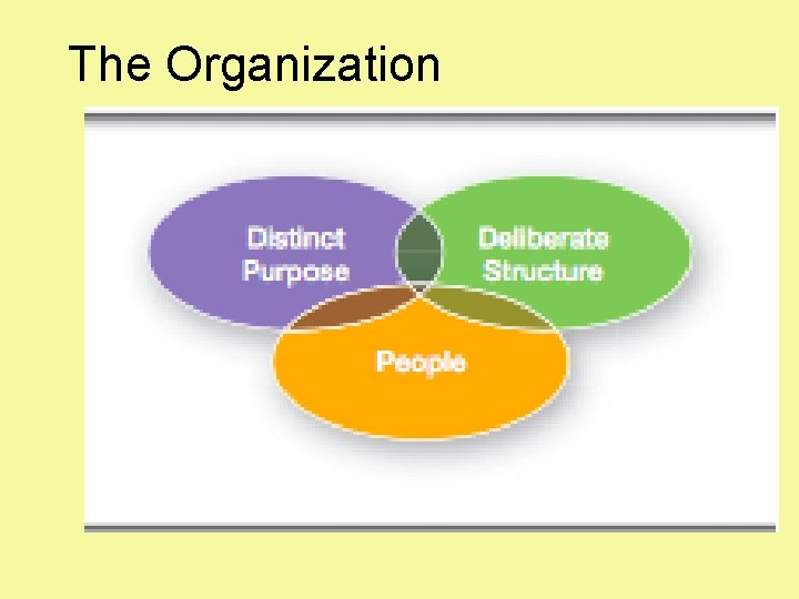 The Organization 