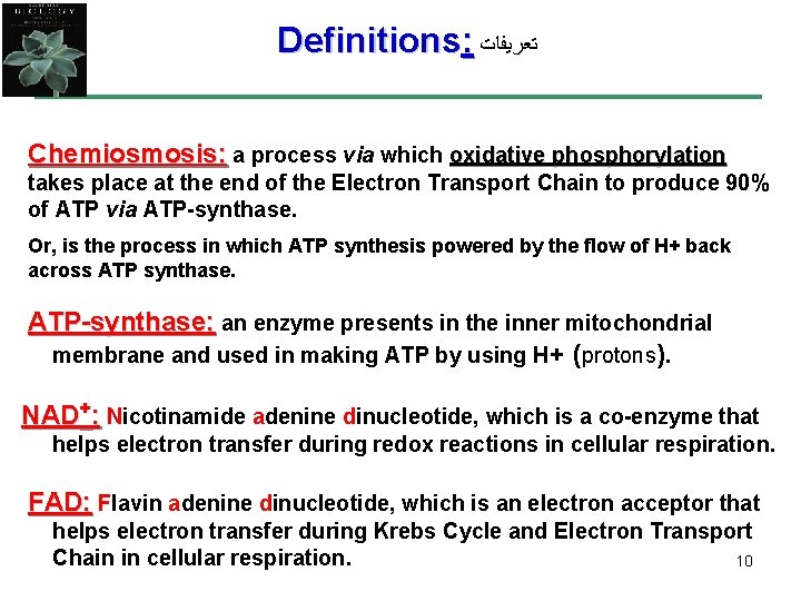 Definitions: ﺗﻌﺮﻳﻔﺎﺕ Chemiosmosis: a process via which oxidative phosphorylation takes place at the end