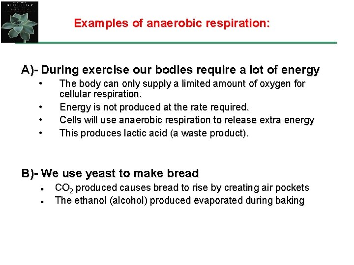 Examples of anaerobic respiration: A)- During exercise our bodies require a lot of energy