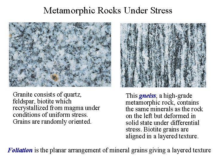 Metamorphic Rocks Under Stress Granite consists of quartz, feldspar, biotite which recrystallized from magma