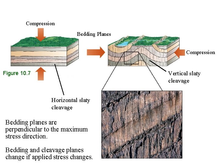 Compression Bedding Planes Compression Figure 10. 7 Vertical slaty cleavage Horizontal slaty cleavage Bedding