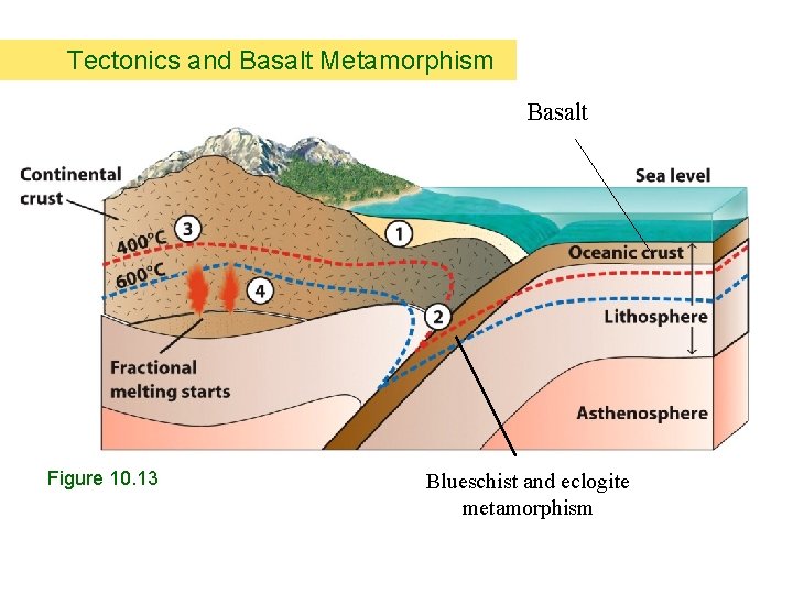 Tectonics and Basalt Metamorphism Basalt Figure 10. 13 Blueschist and eclogite metamorphism 