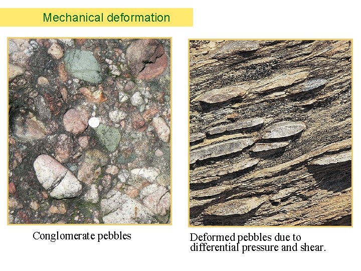 Mechanical deformation Conglomerate pebbles Deformed pebbles due to differential pressure and shear. 