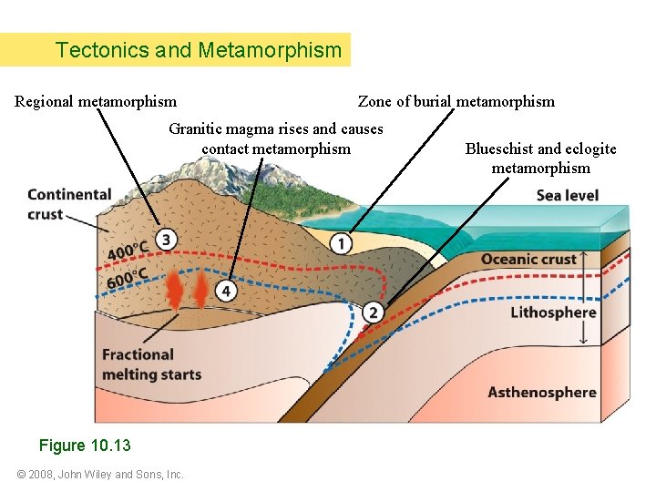 Tectonics and Metamorphism Regional metamorphism Zone of burial metamorphism Granitic magma rises and causes