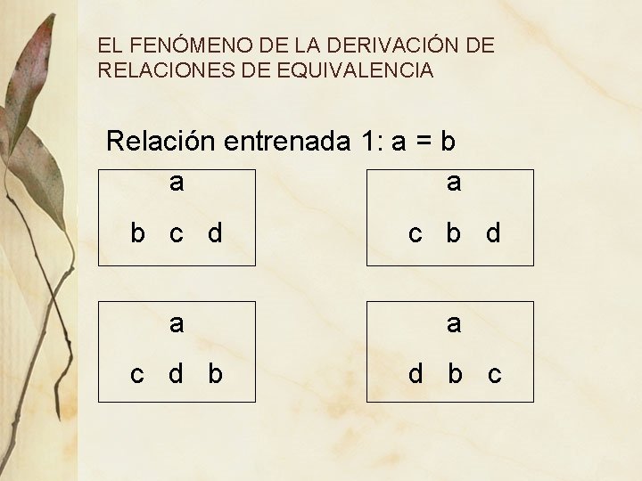 EL FENÓMENO DE LA DERIVACIÓN DE RELACIONES DE EQUIVALENCIA Relación entrenada 1: a = EL FENÓMENO DE LA DERIVACIÓN DE RELACIONES DE EQUIVALENCIA Relación entrenada 1: a =