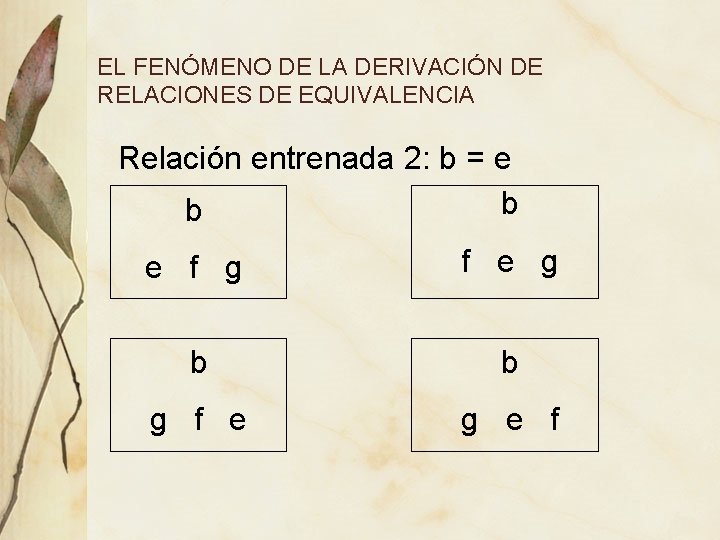 EL FENÓMENO DE LA DERIVACIÓN DE RELACIONES DE EQUIVALENCIA Relación entrenada 2: b = EL FENÓMENO DE LA DERIVACIÓN DE RELACIONES DE EQUIVALENCIA Relación entrenada 2: b =