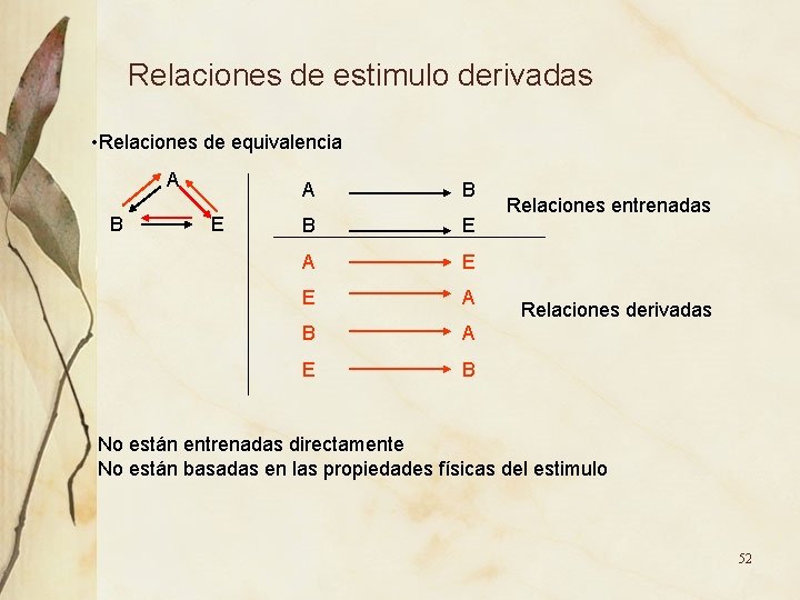 Relaciones de estimulo derivadas • Relaciones de equivalencia A B E A B B Relaciones de estimulo derivadas • Relaciones de equivalencia A B E A B B
