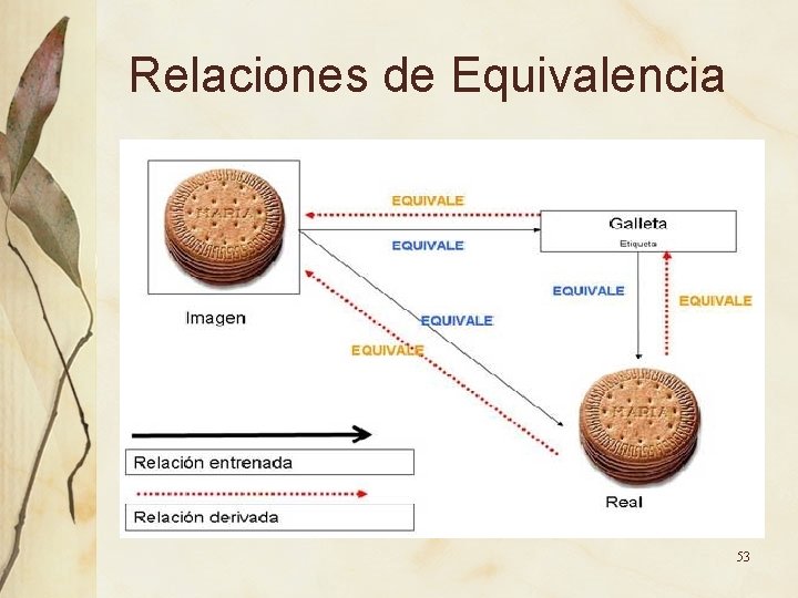 Relaciones de Equivalencia 53 Relaciones de Equivalencia 53