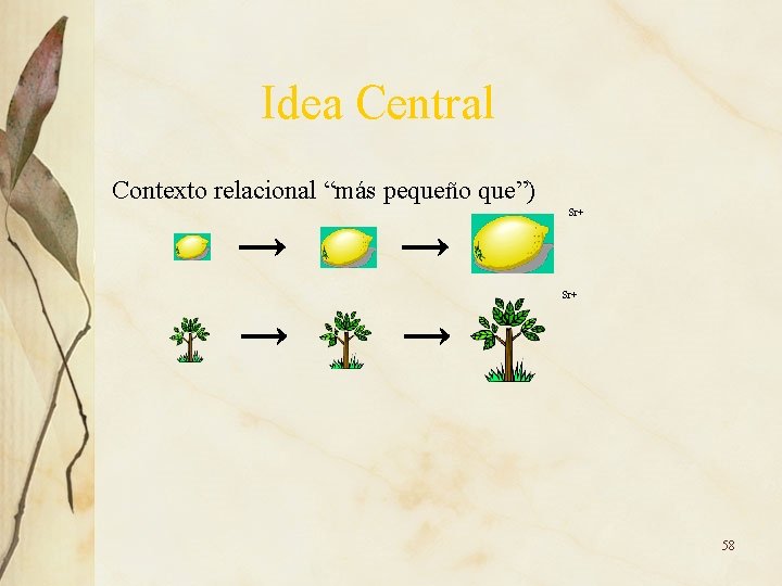 Idea Central Contexto relacional “más pequeño que”) Sr+ 58 Idea Central Contexto relacional “más pequeño que”) Sr+ 58