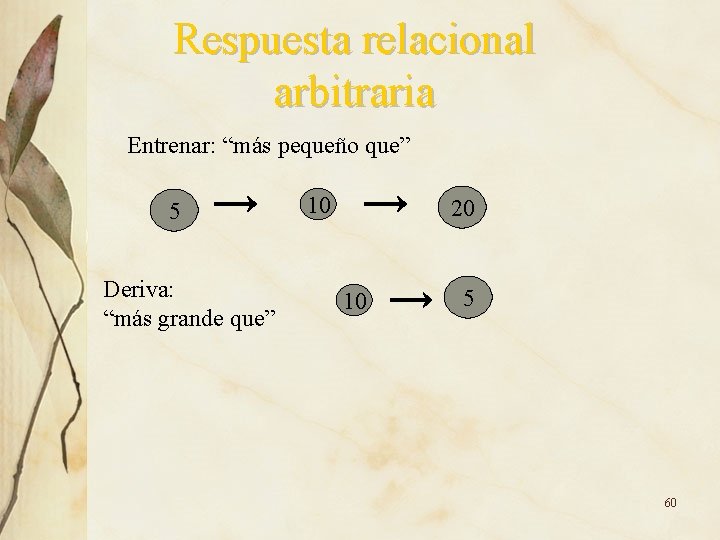 Respuesta relacional arbitraria Entrenar: “más pequeño que” 5 Deriva: “más grande que” 10 20 Respuesta relacional arbitraria Entrenar: “más pequeño que” 5 Deriva: “más grande que” 10 20