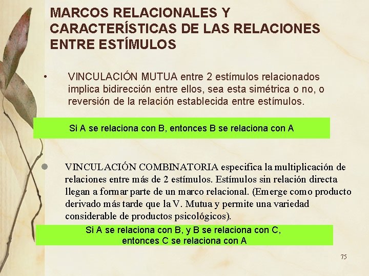 MARCOS RELACIONALES Y CARACTERÍSTICAS DE LAS RELACIONES ENTRE ESTÍMULOS • VINCULACIÓN MUTUA entre 2 MARCOS RELACIONALES Y CARACTERÍSTICAS DE LAS RELACIONES ENTRE ESTÍMULOS • VINCULACIÓN MUTUA entre 2