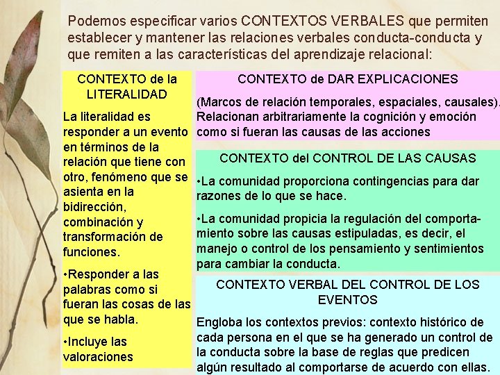 Podemos especificar varios CONTEXTOS VERBALES que permiten establecer y mantener las relaciones verbales conducta-conducta Podemos especificar varios CONTEXTOS VERBALES que permiten establecer y mantener las relaciones verbales conducta-conducta