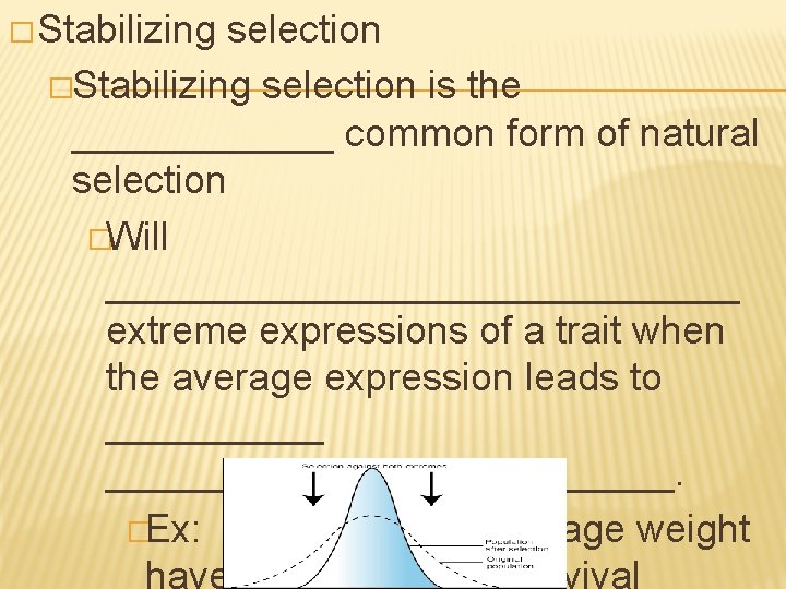 � Stabilizing selection �Stabilizing selection is the ______ common form of natural selection �Will