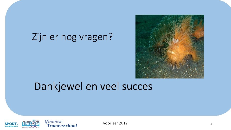 Zijn er nog vragen? Dankjewel en veel succes voorjaar 2017 40 Zijn er nog vragen? Dankjewel en veel succes voorjaar 2017 40