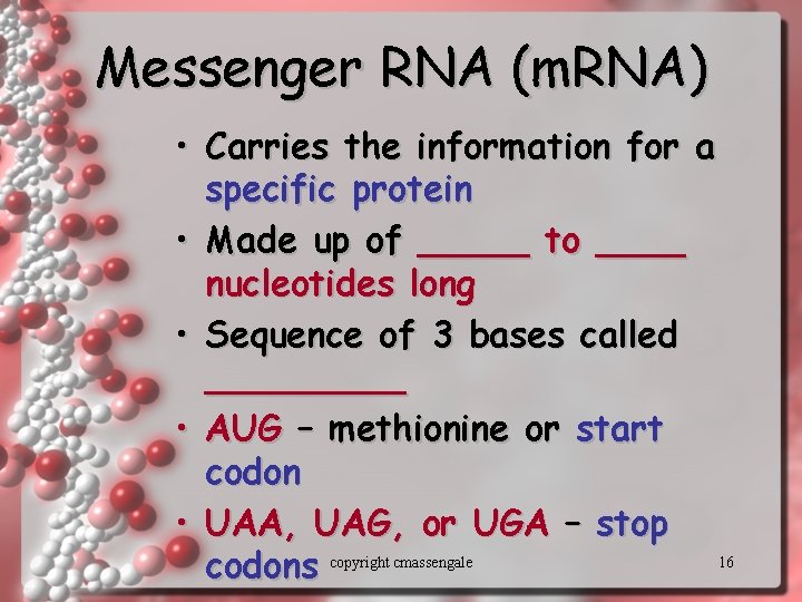 Messenger RNA (m. RNA) • Carries the information for a specific protein • Made