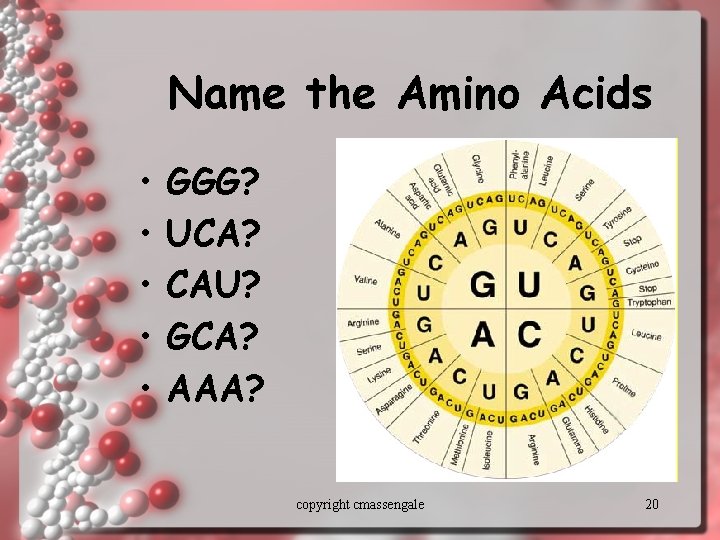 Name the Amino Acids • • • GGG? UCA? CAU? GCA? AAA? copyright cmassengale