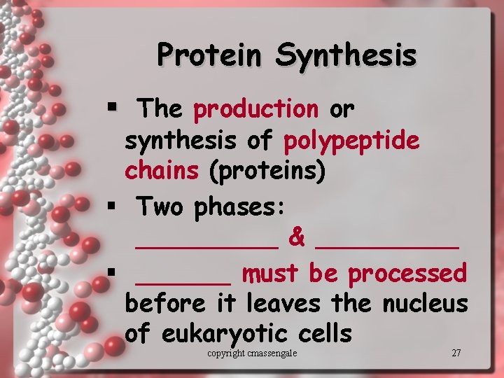 Protein Synthesis § The production or synthesis of polypeptide chains (proteins) § Two phases: