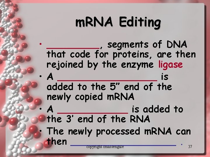 m. RNA Editing • _____, segments of DNA that code for proteins, are then