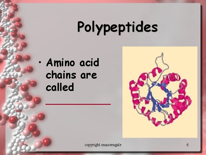 Polypeptides • Amino acid chains are called _____ copyright cmassengale 6 