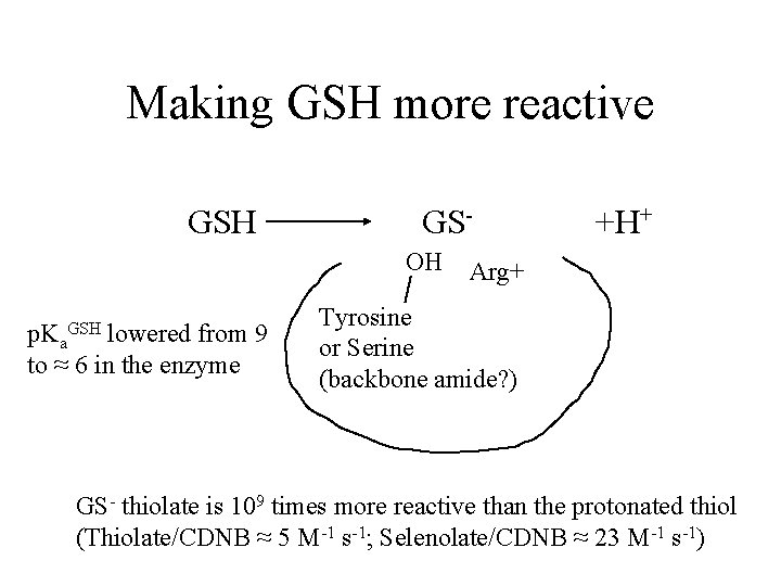 Making GSH more reactive GSH GSOH p. Ka lowered from 9 to ≈ 6
