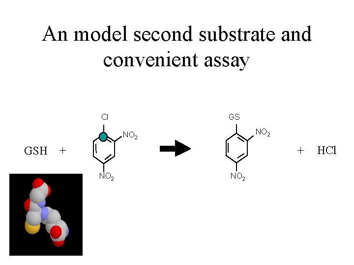 An model second substrate and convenient assay Cl GS NO 2 GSH + +