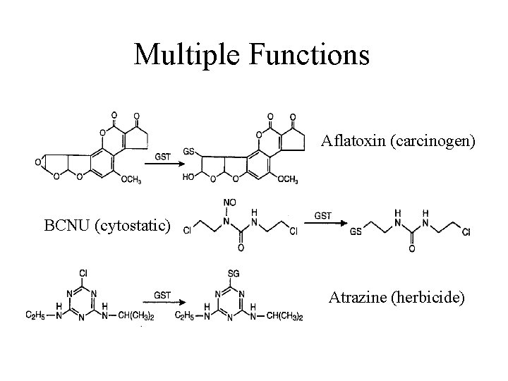 Multiple Functions Aflatoxin (carcinogen) BCNU (cytostatic) Atrazine (herbicide) 