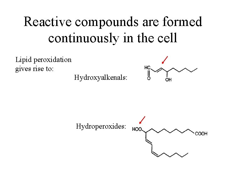 Reactive compounds are formed continuously in the cell Lipid peroxidation gives rise to: Hydroxyalkenals: