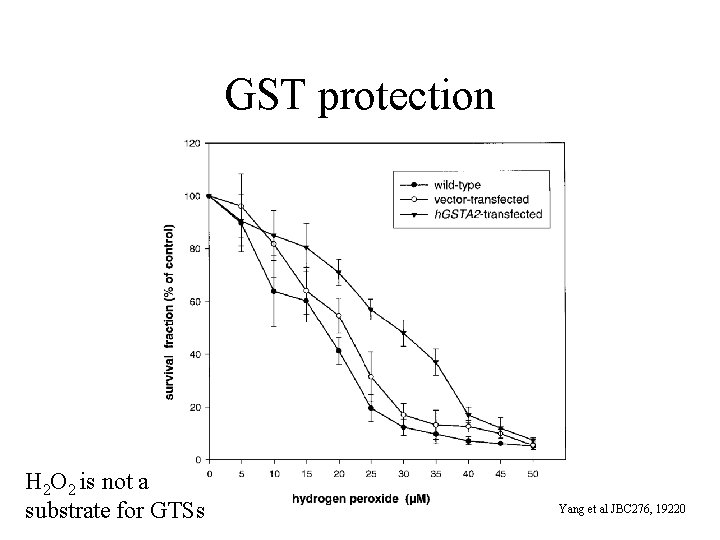 GST protection H 2 O 2 is not a substrate for GTSs Yang et