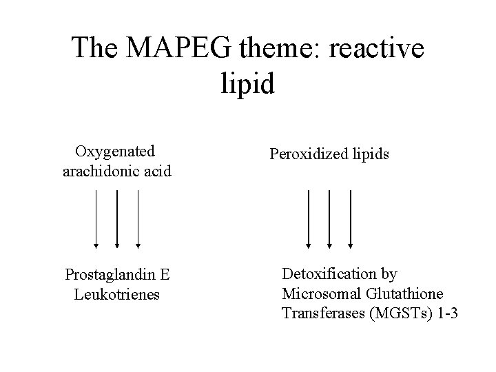 The MAPEG theme: reactive lipid Oxygenated arachidonic acid Prostaglandin E Leukotrienes Peroxidized lipids Detoxification