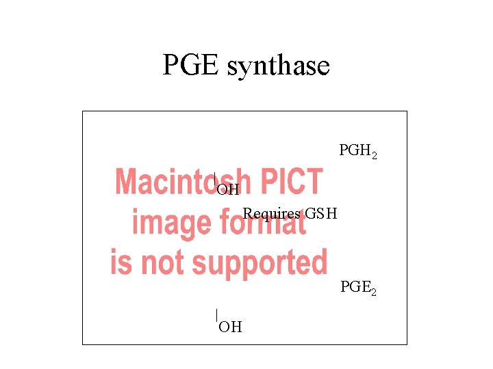 PGE synthase PGH 2 OH Requires GSH PGE 2 OH 