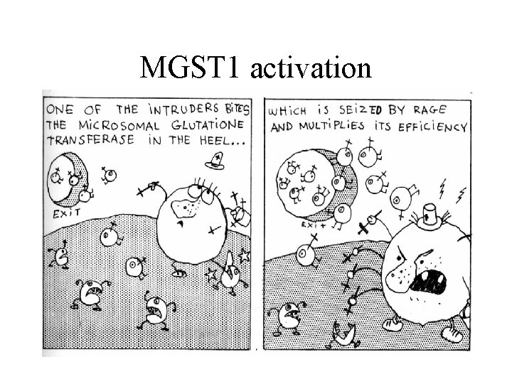 MGST 1 activation 