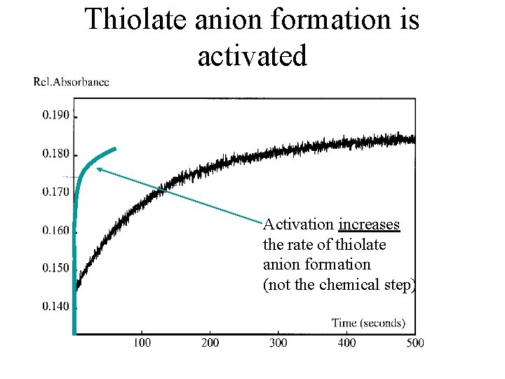 Thiolate anion formation is activated Activation increases the rate of thiolate anion formation (not