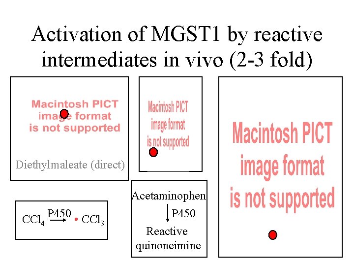 Activation of MGST 1 by reactive intermediates in vivo (2 -3 fold) Diethylmaleate (direct)