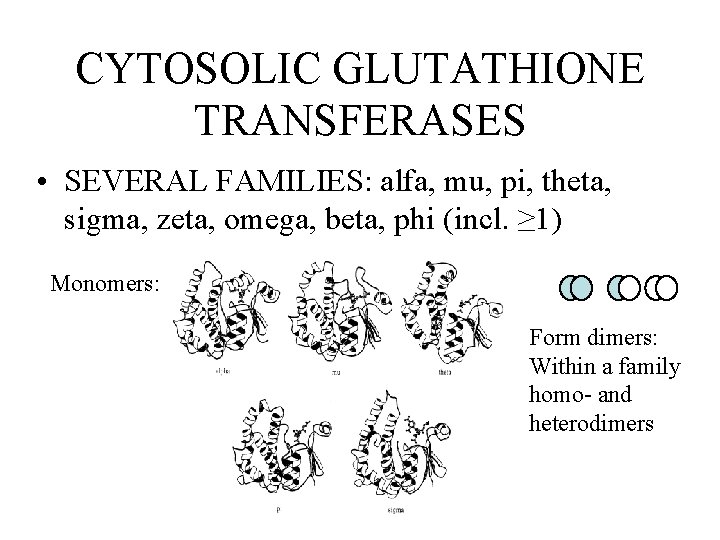 CYTOSOLIC GLUTATHIONE TRANSFERASES • SEVERAL FAMILIES: alfa, mu, pi, theta, sigma, zeta, omega, beta,