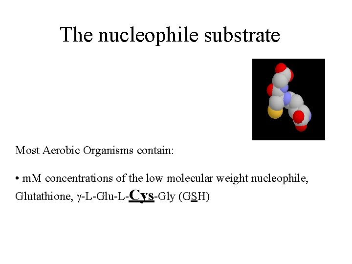 The nucleophile substrate Most Aerobic Organisms contain: • m. M concentrations of the low