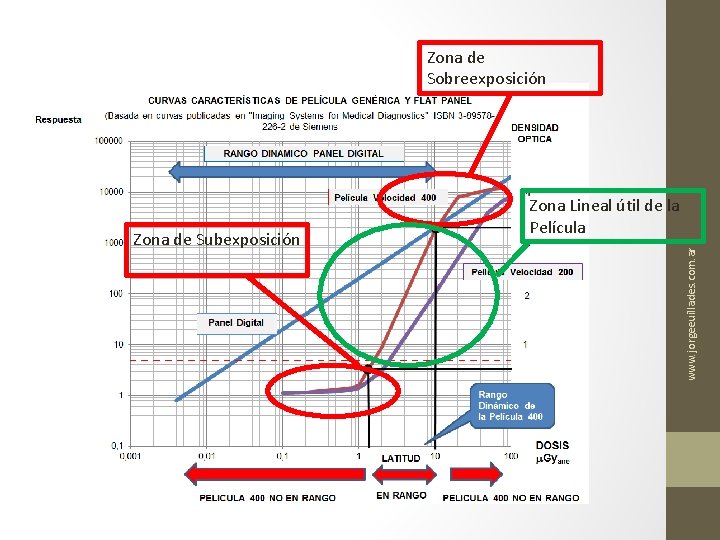 Zona de Sobreexposición www. jorgeeuillades. com. ar Zona de Subexposición Zona Lineal útil de