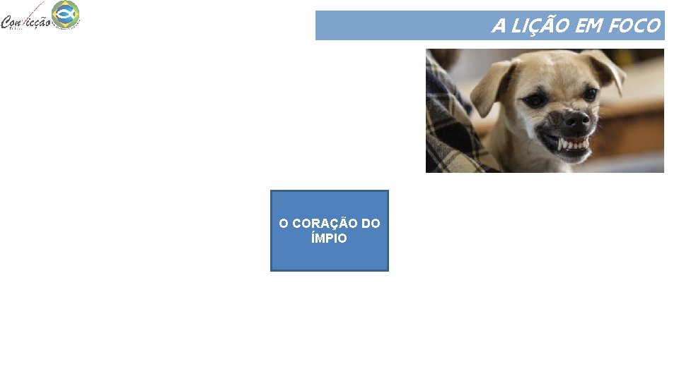 A LIÇÃO EM FOCO Não gosta de ser confrontado. Não domina a língua. O